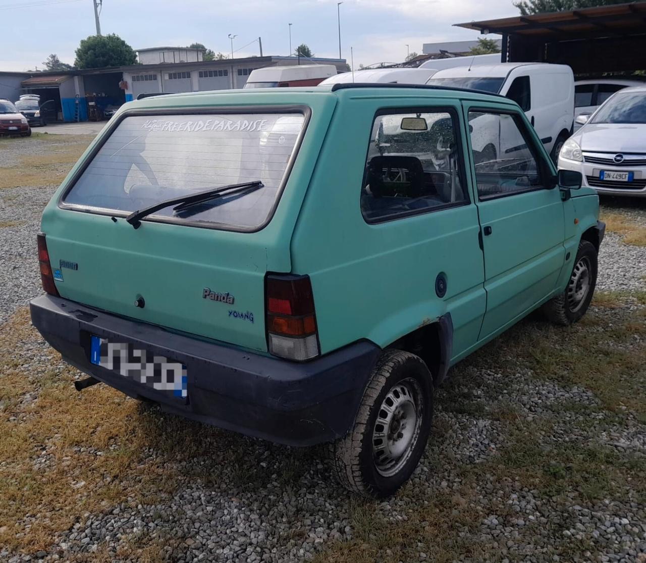 Fiat Panda 900 i.e. cat Young