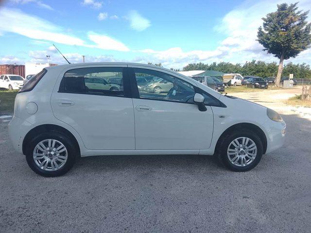 FIAT Punto 1.4 8V 5 porte Natural Power Lounge