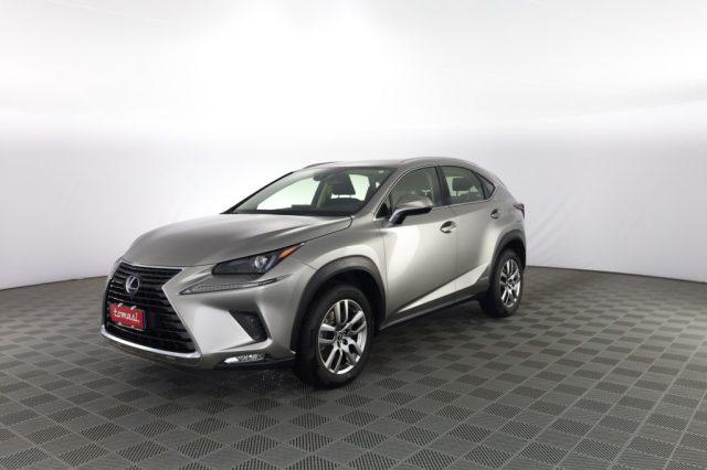 LEXUS Other NX NX Hybrid Business