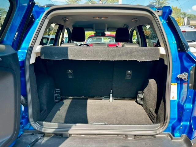 Ford EcoSport 1.0 ecoboost Active s " TAGLIANDI CERTIFICATI FORD "