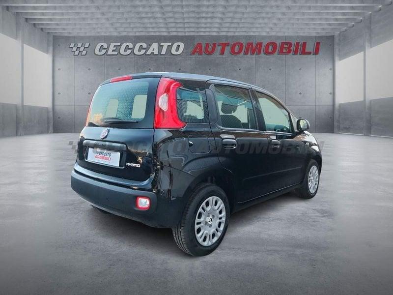 FIAT Panda Panda 1.0 70cv Hybrid Icon