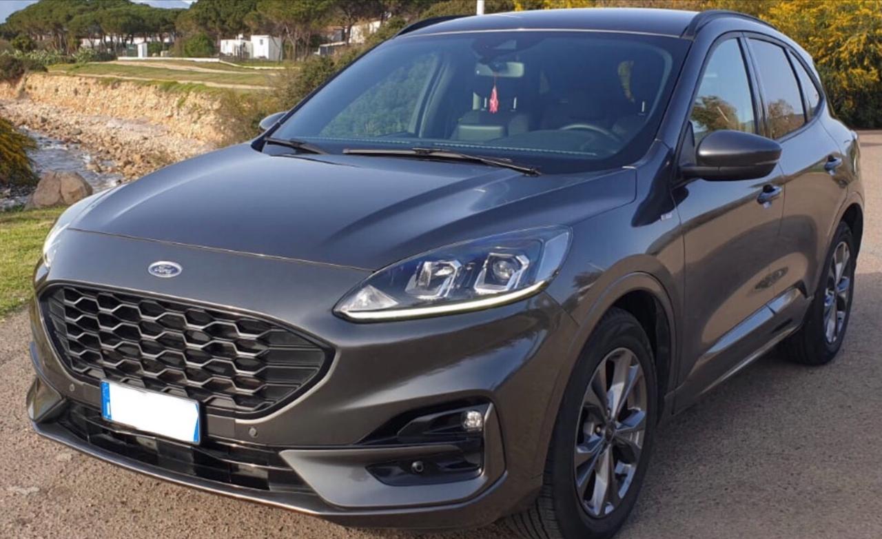 Ford Kuga 1.5 EcoBlue 120 CV 2WD ST-Line