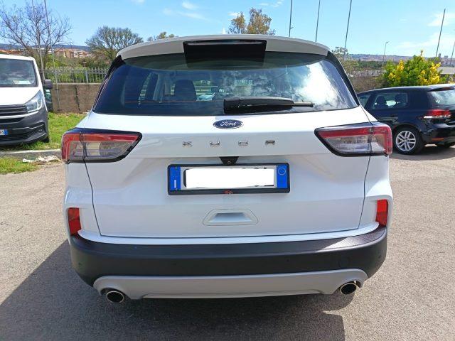 FORD Kuga 1.5 EcoBlue 120 CV aut. 2WD Titanium Business