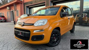 FIAT Panda RATA MENSILE 172,00 EURO 1.0 FireFly 70cv S&S Hybrid City Life