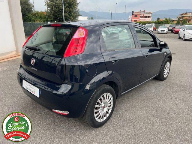 FIAT Punto 1.2 8V 5 porte Young - PER NEOPATENTATO -