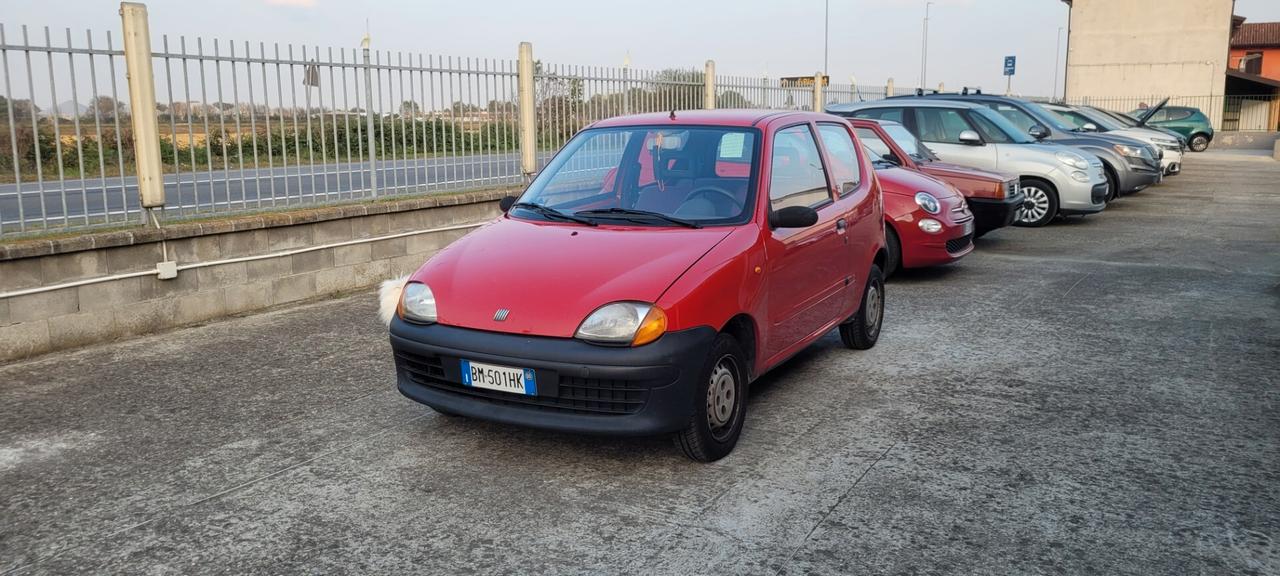 Fiat Seicento 900i cat Young