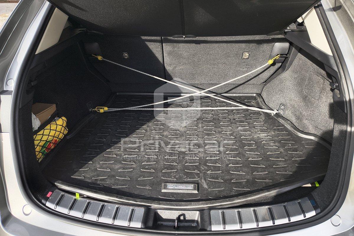 LEXUS NX Plug-in 4WD Premium