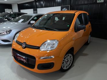 Fiat Panda 1.0 FireFly S&S Hybrid BENZINA