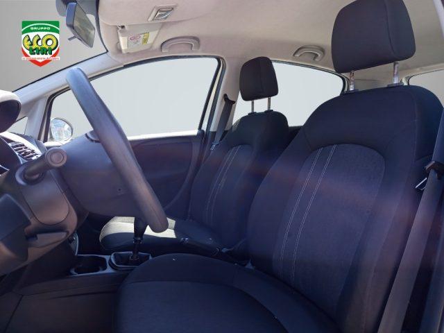 FIAT Punto 1.3 MJT II 75 CV 5 porte Street