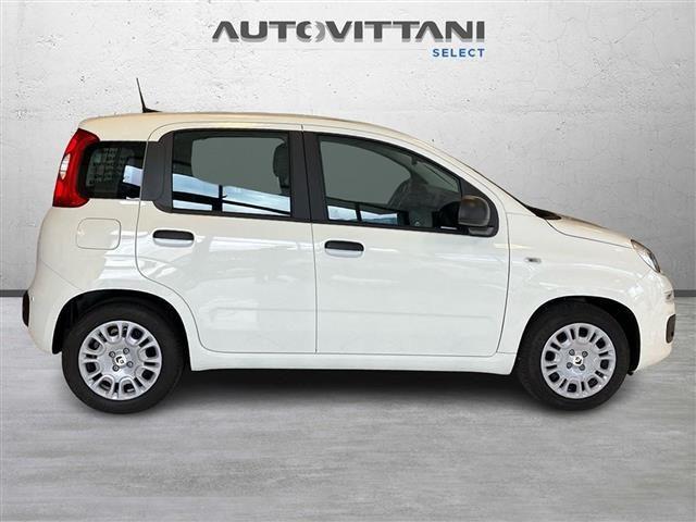 FIAT Panda Pandina 1.0 FireFly Hybrid 65cv Icon S&S 5p.ti