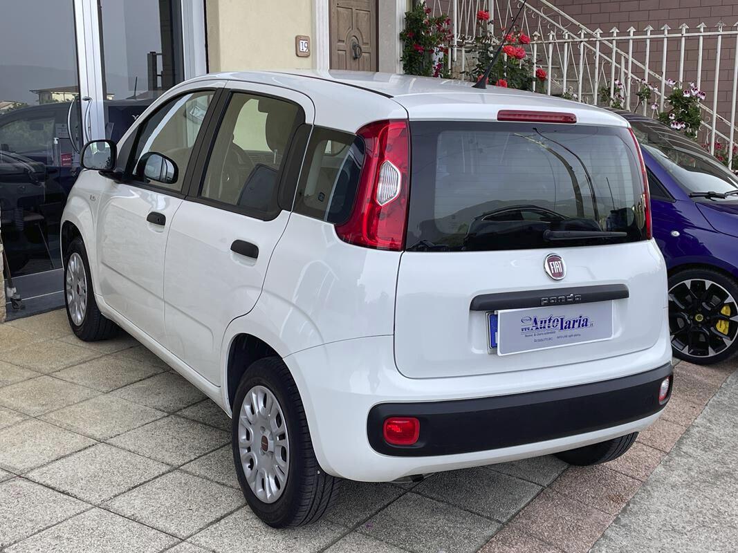 Fiat Panda 1.2 Easy S&S 69cv my19 "Adatta anche per neopatentati" (fendinebbia-Bluetooth - USB-Block System)