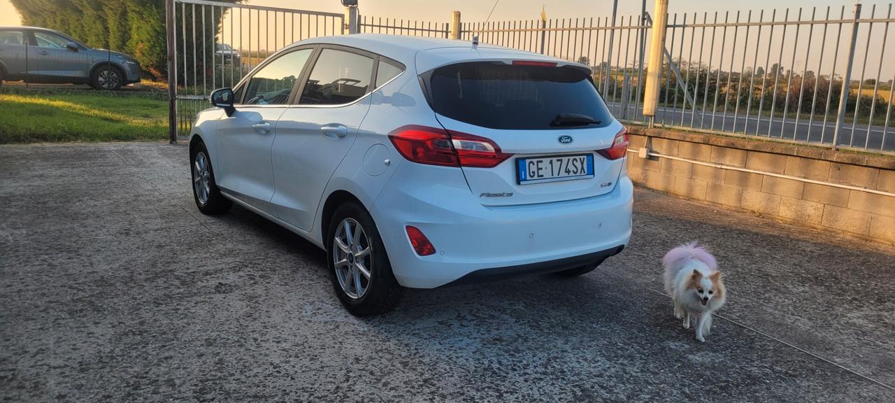 Ford Fiesta 1.0 Ecoboost Hybrid 125 CV 5 porte Titanium