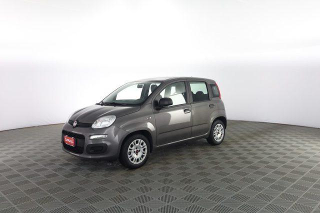 FIAT Panda Panda 1.0 FireFly 70cv S&S Hybrid E6d-Final EASY
