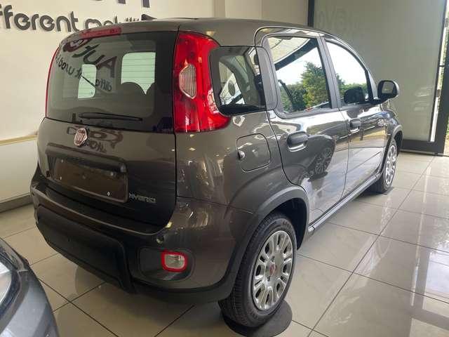 Fiat Panda 1.0 firefly hybrid CityLife PackCitylight5posti