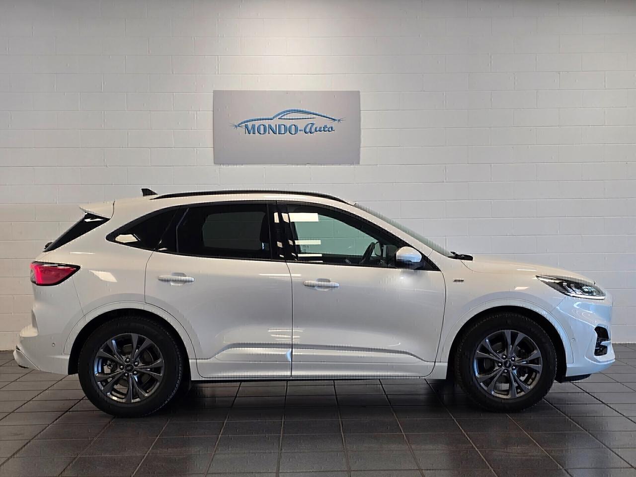 Ford Kuga 1.5 EcoBlue 120 CV aut. 2WD ST-Line X 2020