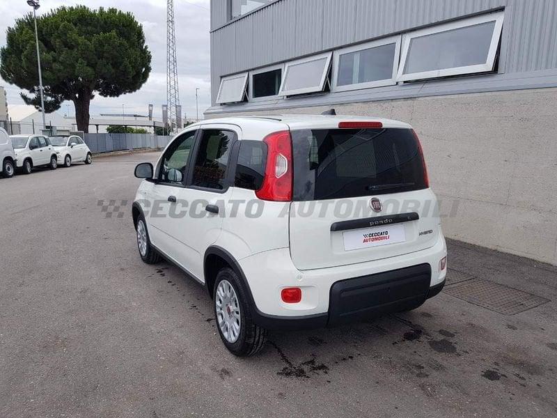 FIAT Panda Van My23 1.0 Hybrid S&S 70cv E6.4 - 2 Posti