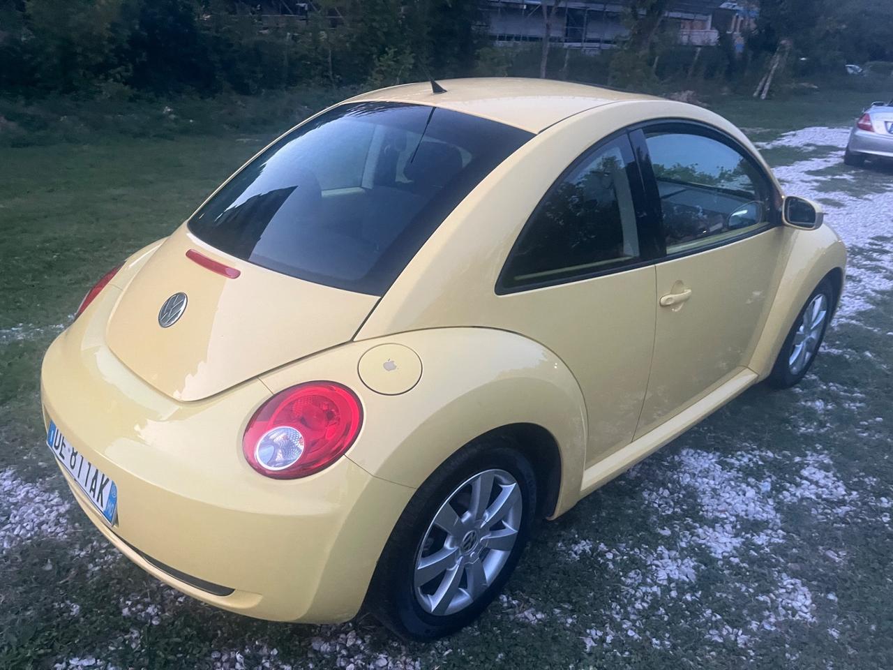 Volkswagen New Beetle 1.9 TDI 105CV