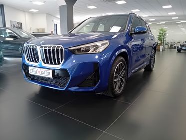 Bmw X1 xDrive 25e Msport