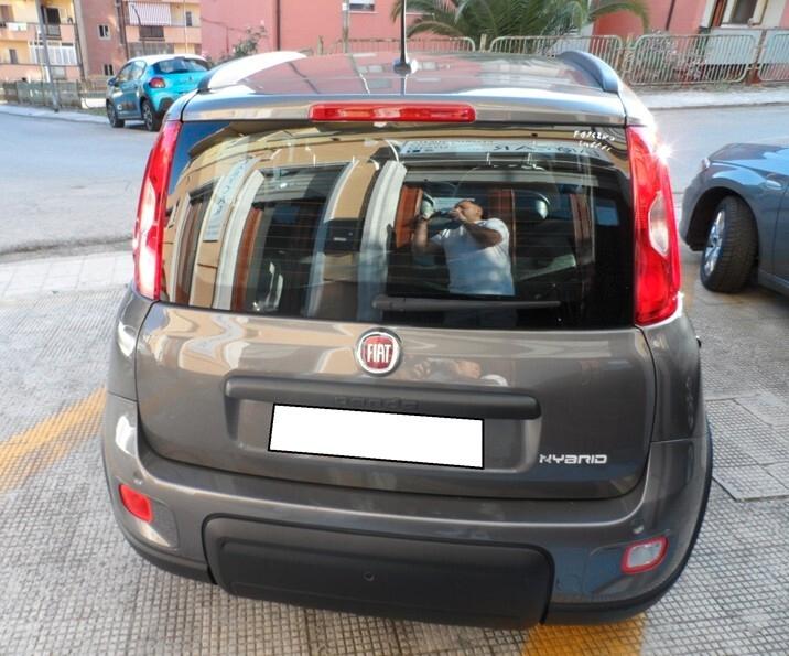 Fiat Panda 1.0 FireFly 70 CV Hybrid City Life