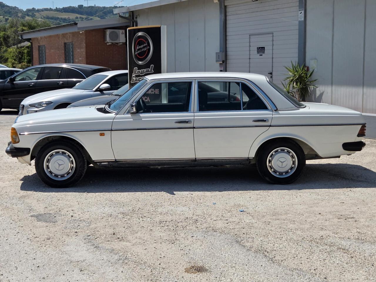 Mercedes-benz W123 240D -ASI-