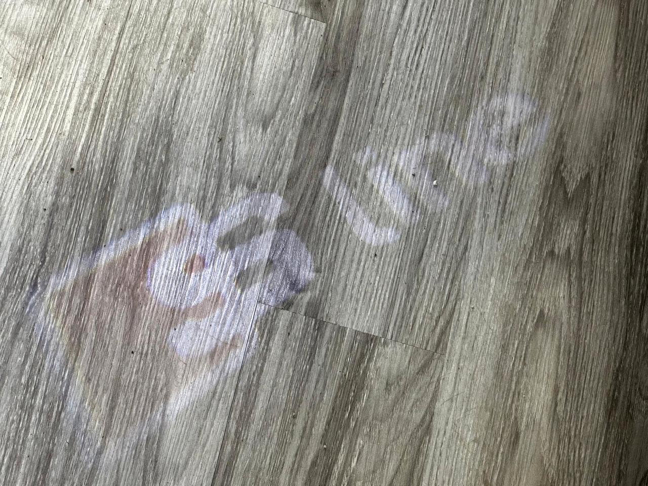 Audi Q3 2.0 TDI 150 CV S tronic line Edition