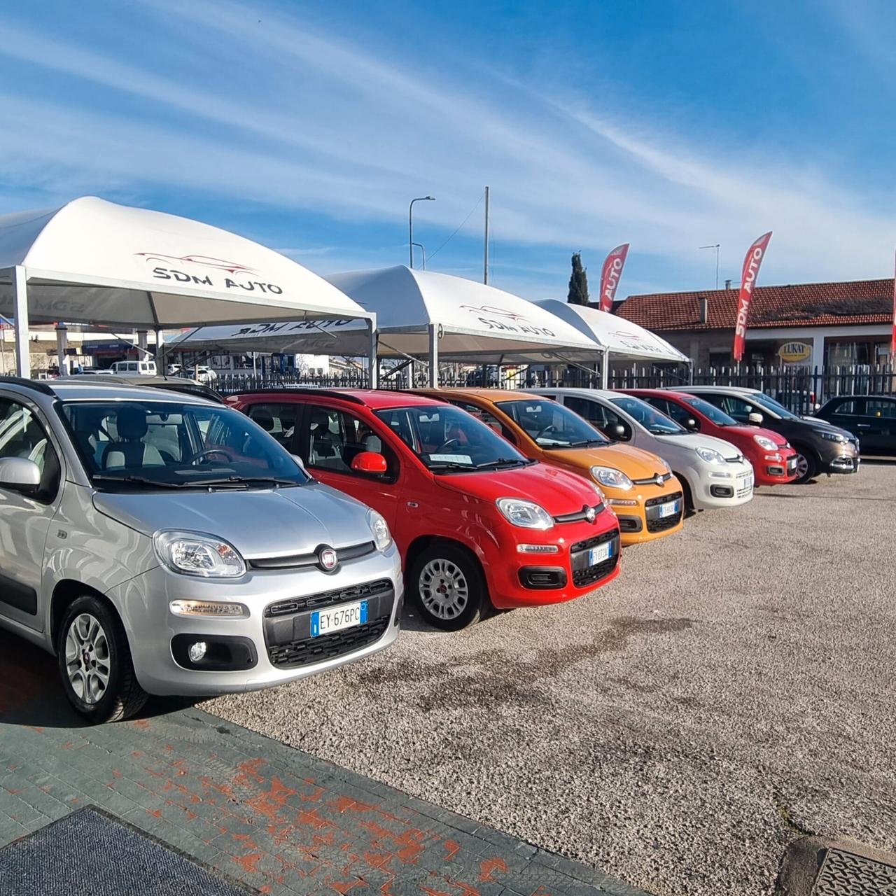 FIAT PANDA 1.2 BENZINA -- 1.3 MULTIJET VARI COLORI