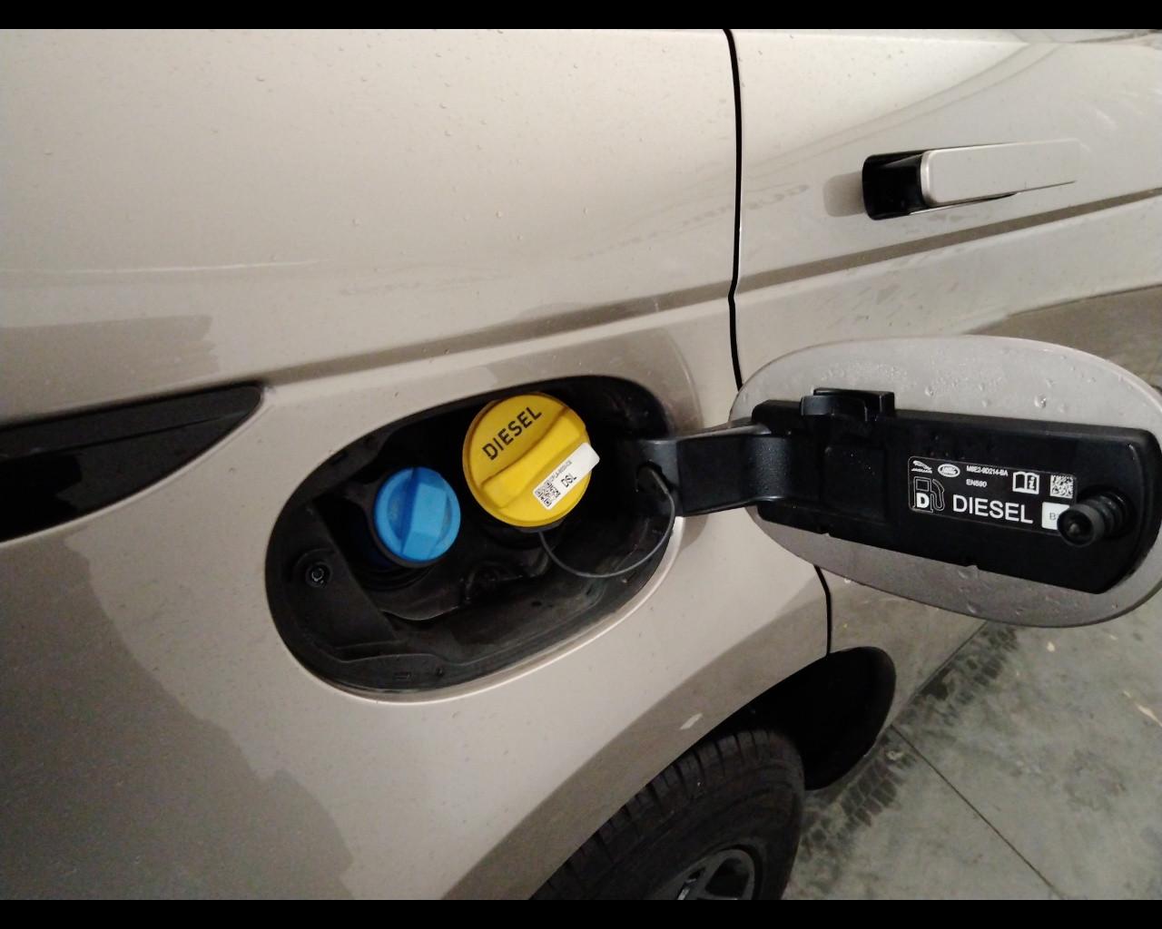 LAND ROVER Range Rover Evoque II 2019 - Range Rover Evoque 2.0d i4 mhev