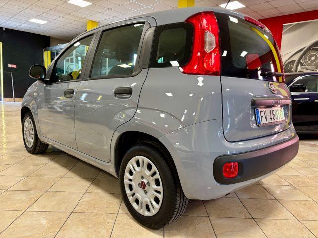 FIAT Panda 1.2 Easy UNIPRO -IVA ESPOSTA -5 POSTI -OK NEOPATAT