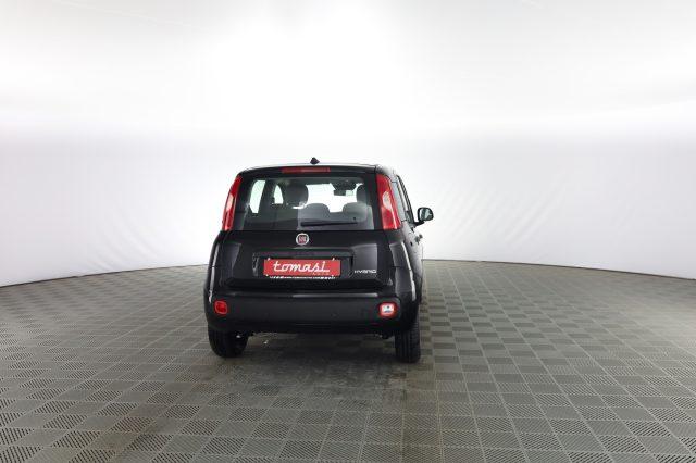 FIAT Pandina Pandina 1.0 FireFly 65 CV Hybrid Icon