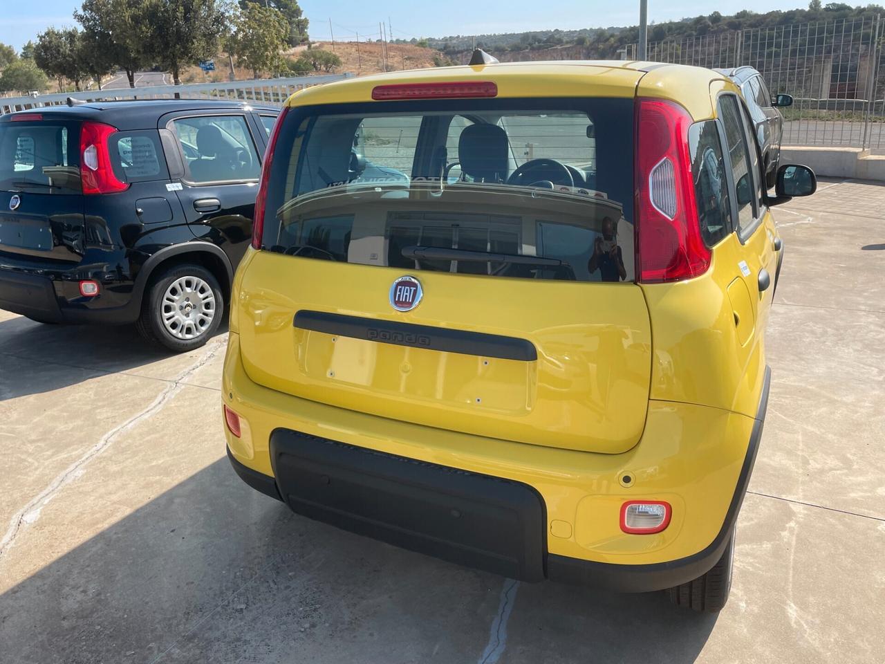 Fiat Panda 1.0 FireFly S&S Hybrid (Nuova Con Rottamazione)