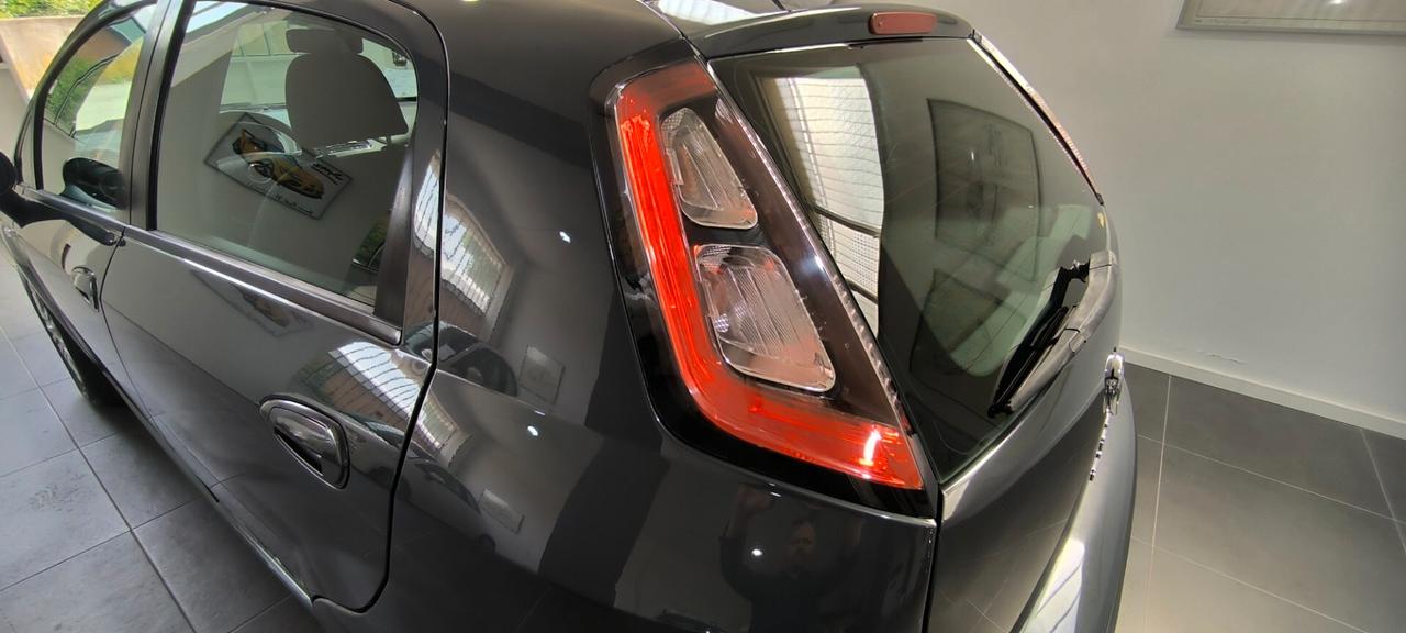 Fiat Punto 1.2 8V 5 porte Lounge ok neopatentati