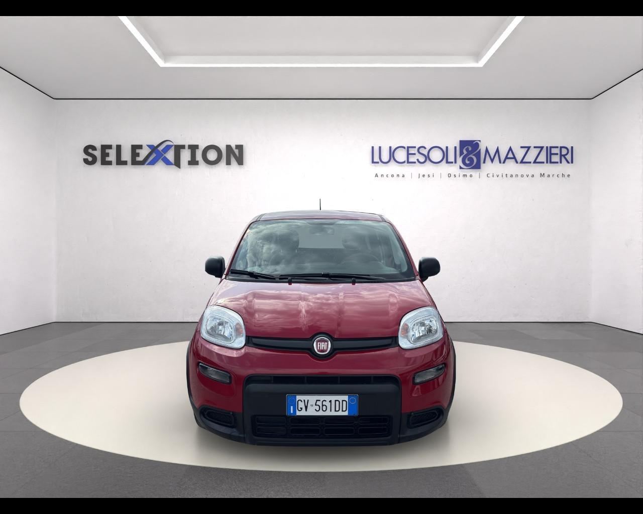 FIAT Panda My23 1.0 70cv Hybrid Panda