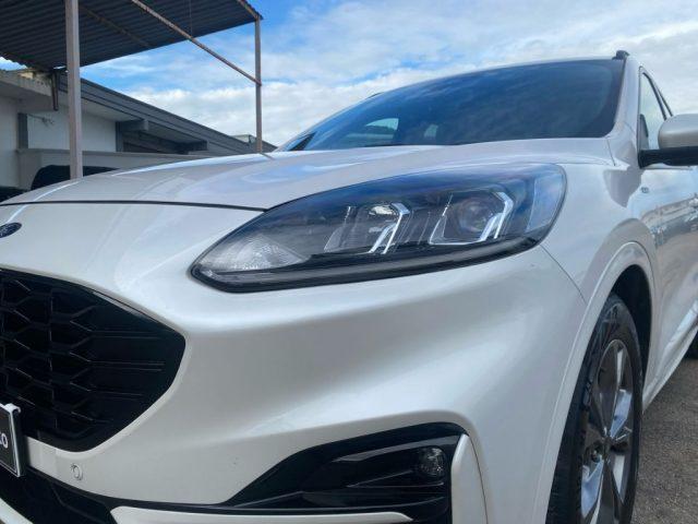 FORD Kuga 1.5 EcoBlue 120 CV 2WD ST-Line