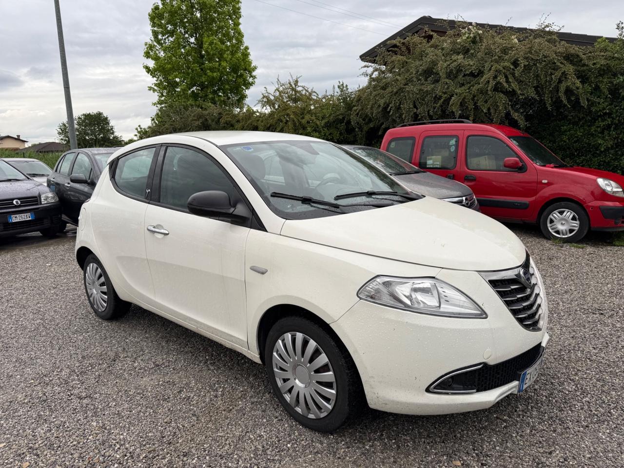 Lancia Ypsilon 1.3 MJT 16V 95 CV 5 porte S&S ELLE
