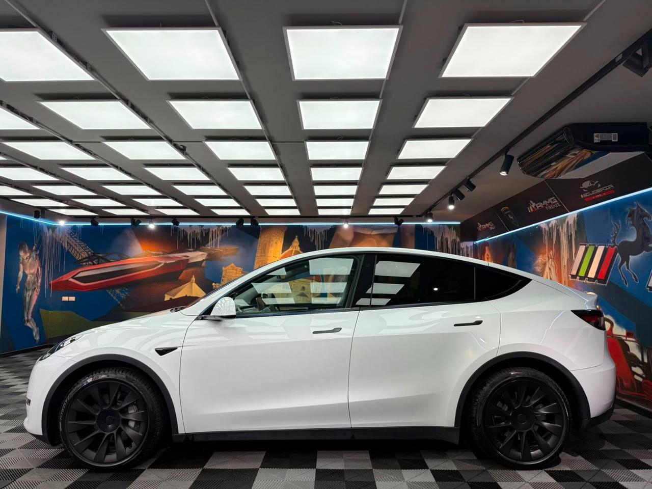 Tesla Model Y Long Range AWD (349)