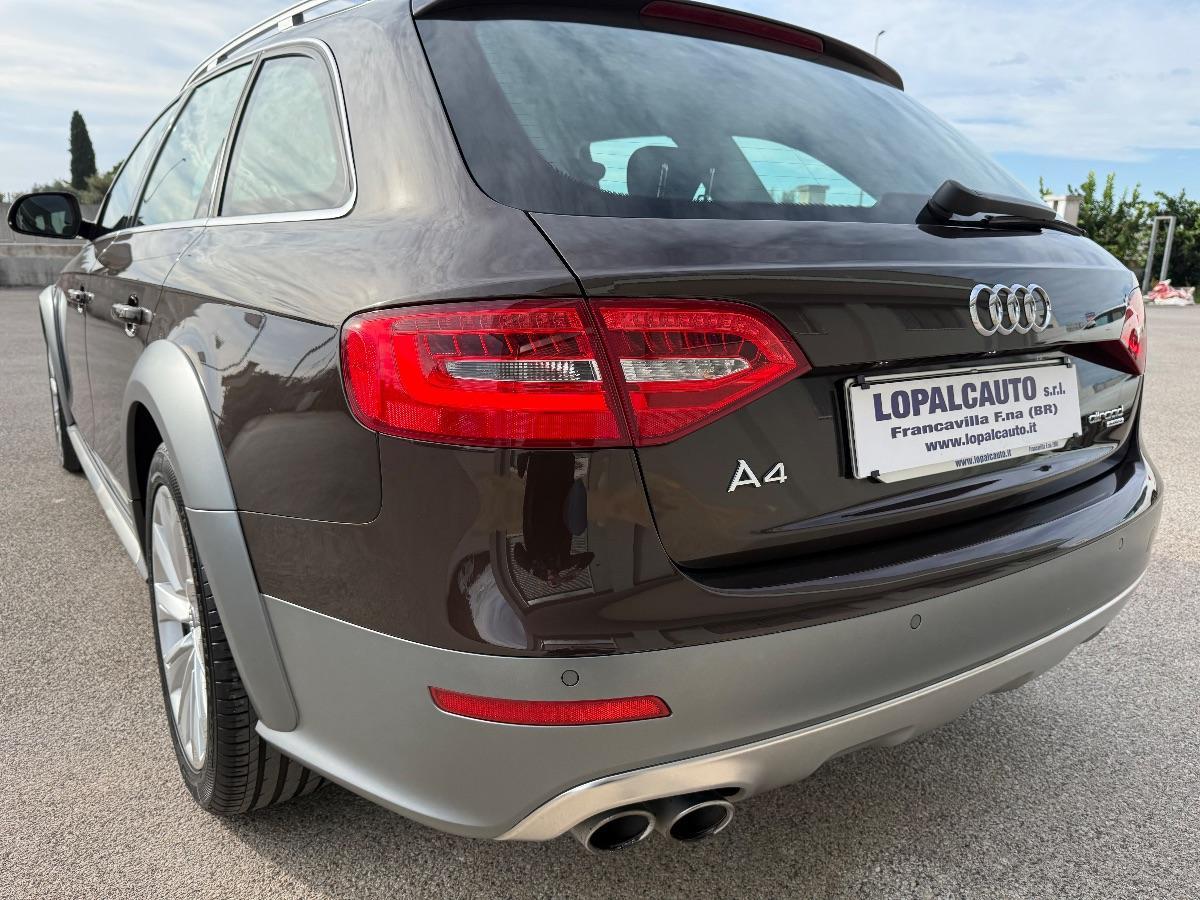 AUDI - A4 Allroad - 2.0 TDI 177 CV S tronic Business