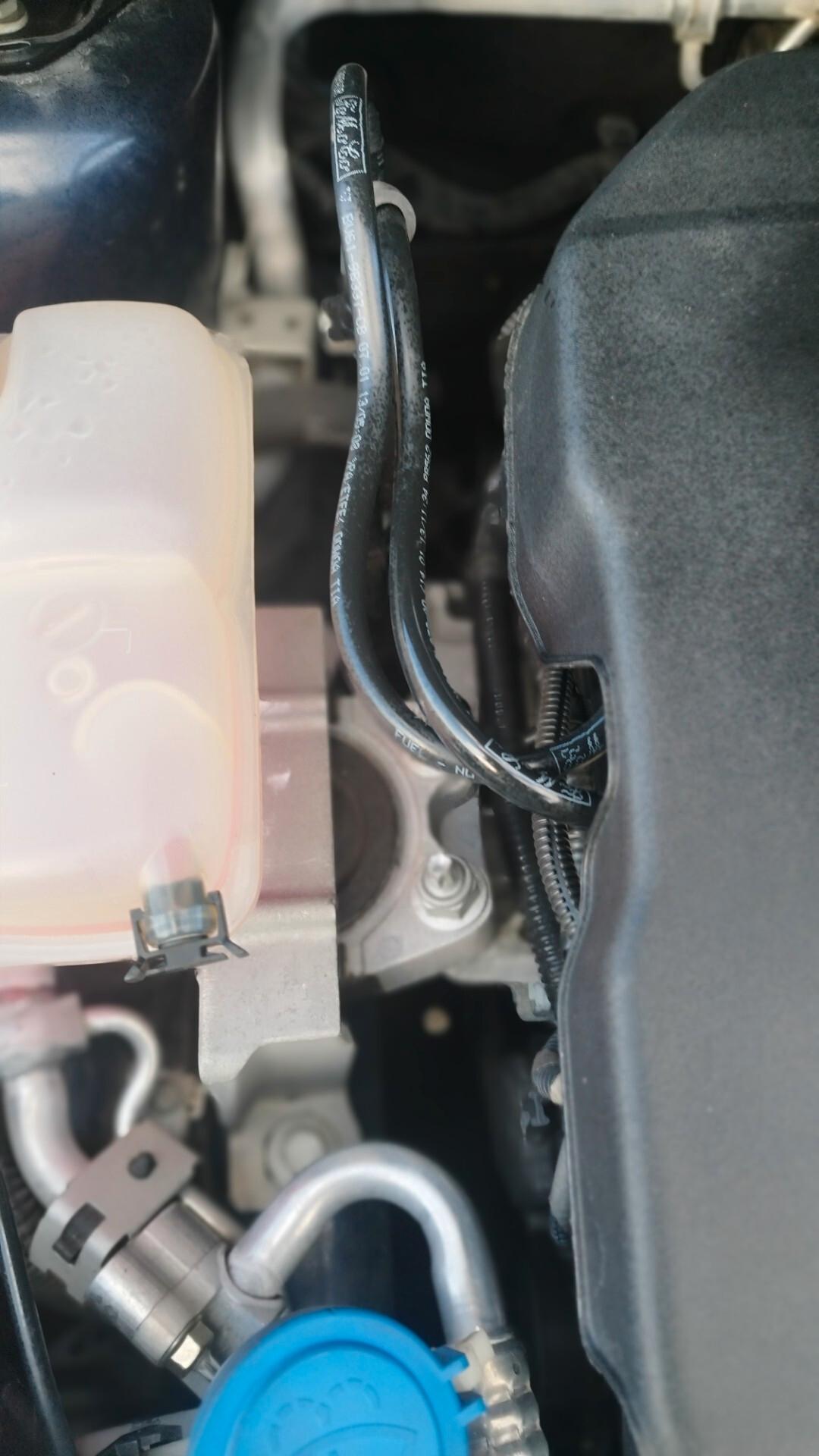 Ford Focus 1.6 TDCi 115 CV Titanium