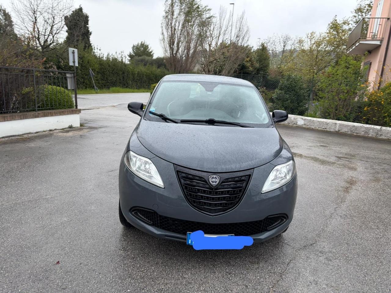Lancia Ypsilon Metano Ecochic Elefantino