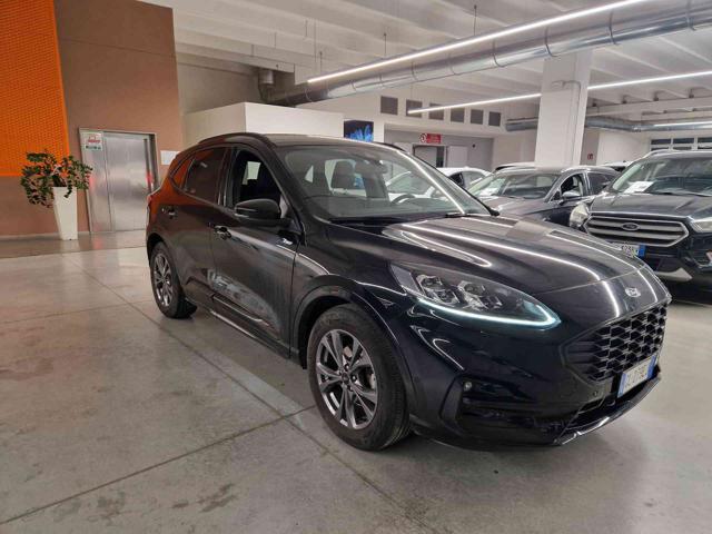 FORD Kuga 2.0 EcoBlue 120 CV aut. 2WD ST-Line X