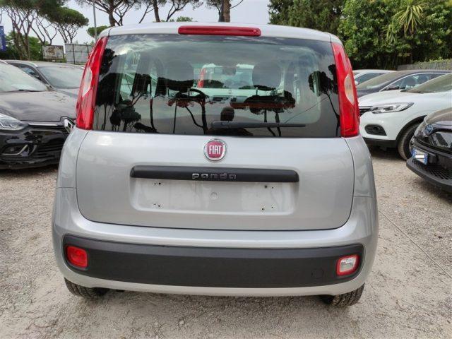 FIAT Panda 1.2 Easy CLIMA OK NEOPATENTATI ..