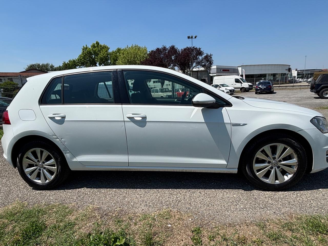 Volkswagen Golf Business 1.4 TGI 5p. Comfortline BlueMotion Solo per export