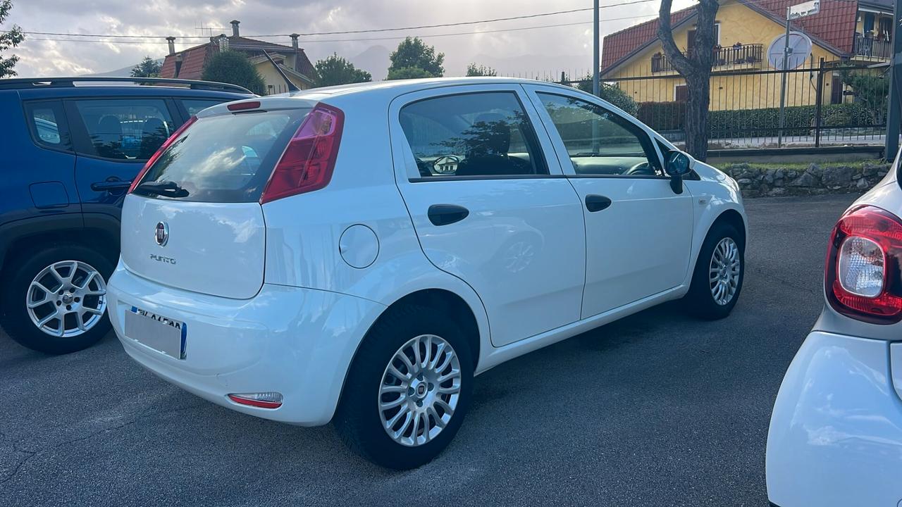 Fiat Punto 1.2 8V 5 porte Street NEOPATENTATI