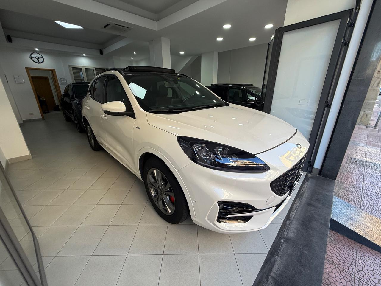 Ford Kuga 2.0 EcoBlue Hybrid 150 CV 2WD ST-Line