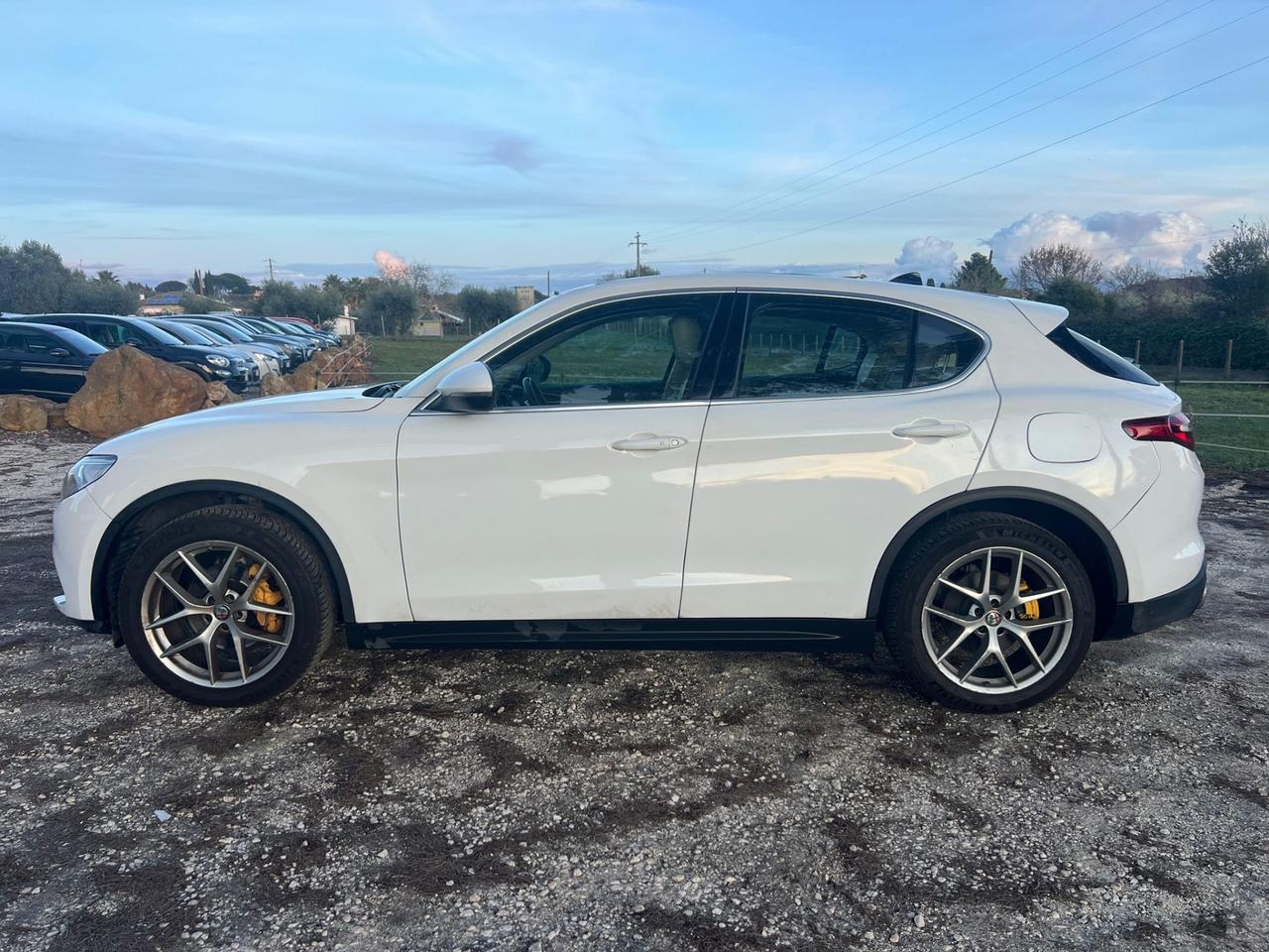 Alfa Romeo Stelvio 2.0 Turbo 280 CV AT8 Q4 Executive