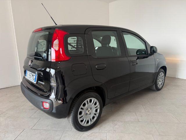 FIAT Pandina 1.0 FireFly 65 CV Hybrid Icon