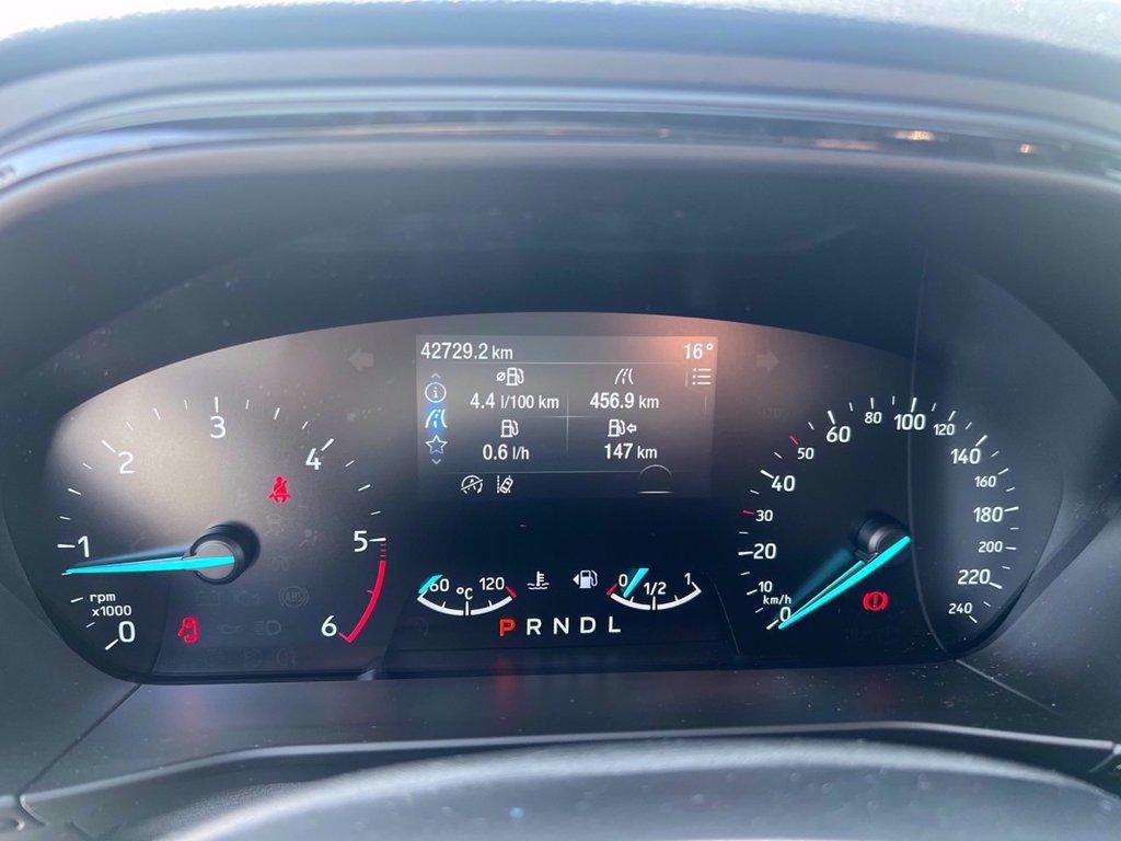 FORD Focus 1.5 ecoblue ST-Line 115cv auto del 2024
