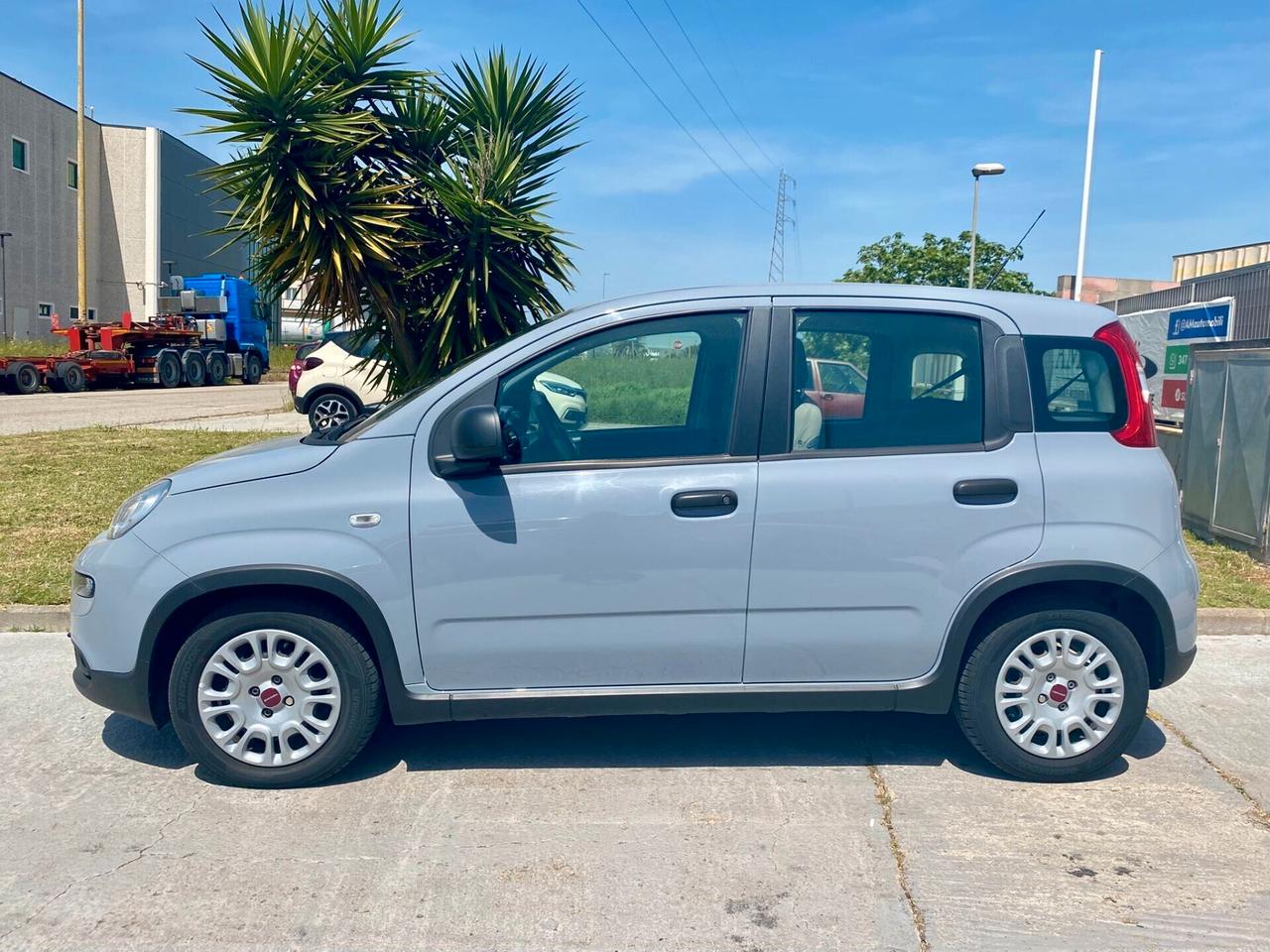 Fiat Panda 1.0 FireFly S&S Hybrid 70 CV