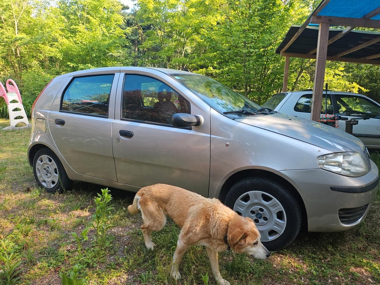 Fiat Punto 1.2 5 porte Active Natural Power