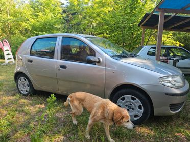 Fiat Punto 1.2 5 porte Active Natural Power