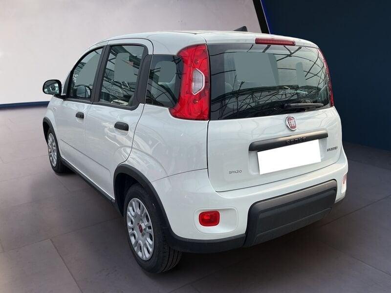 FIAT Panda My23 1.0 70cv Hybrid Panda